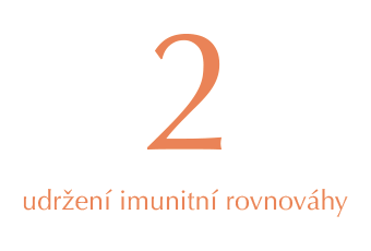 udrzeni_imunitni_rovnovahy_orange